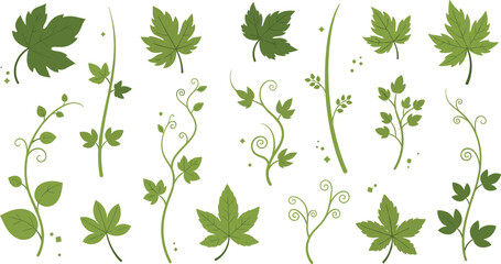 Hand drawn green vine leaves and climbing plant stems vector set with botanical foliage and garden tendrils for eco friendly nature designs. © Hosneara