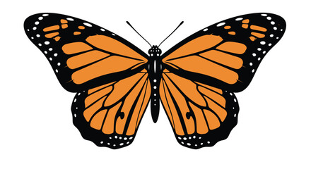 A vibrant monarch butterfly with detailed orange and black wing patterns © RaufinIslam