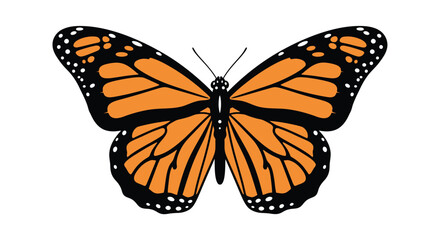 A vibrant monarch butterfly with detailed orange and black wing patterns © farhan