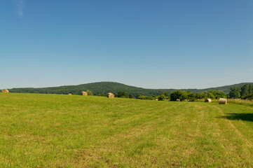 Obraz premium A beautiful landscape featuring hay bales scattered across a lush, green field under a bright blue sky.