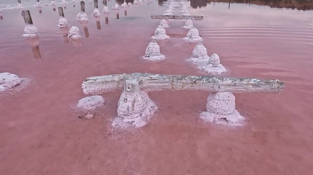 Kuyalnik Estuary, remnants of 18th-century saltworks, self-precipitated salt deposits on the bottom of the water body and old wooden structures during a dry summer, global climate change