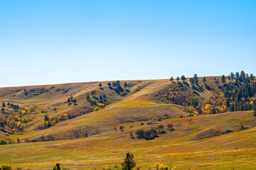 Fototapeta premium Beautiful prairie landscape at Custer State Park in South Dakota.