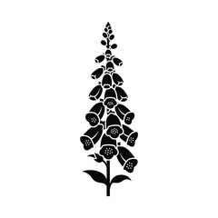 Black foxglove flower silhouette on white background © JakiR BRAND