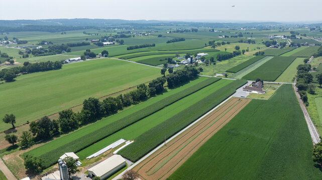 Aerial view of green fields and farms showing crop patterns and structures. The land is flat with various shades of green and some buildings spotted across the area.
