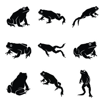 Vector Frog and Toad Silhouette Set &ndash; Minimalist Amphibian Icons in Various Poses