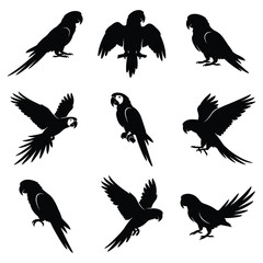 Set of Macaw Parrot Silhouettes- Tropical Bird Vector Icons in Various Poses © Shifaul Islam