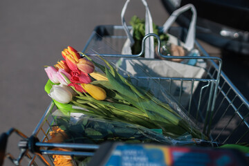 Fototapete bei efototapeten.de bestellen   