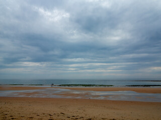 Beach - La cotiniere - Fishing harbour - Ile d'Oleron - Charente-Maritime - Nouvelle Aquitaine - France