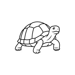 Fototapeta premium Turtle Line Art Vector Graphic vector illustration