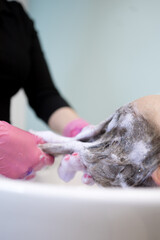 close-up of hair washing in a salon