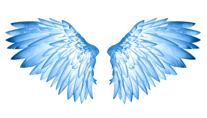 Obraz premium Frozen Ice Crystal Wings mockup isolated on transparent background
