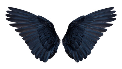 Fototapeta premium Black Velvet Feather Wings mockup isolated on transparent background