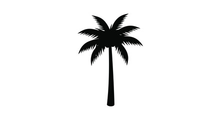 Fototapeta premium Black silhouette of a palm tree for design and decoration purposes easily
