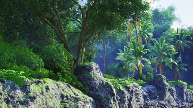 Dappled light over limestone ledges in Thailand, intimate view of layered rock terraces with scattered palms and ferns, textured surfaces and cool undergrowth,