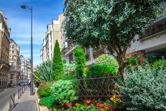 Street in Paris