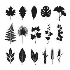 Collection of various leaf silhouettes.