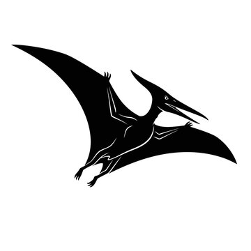Flying Pterodactyl Silhouette in Air.
