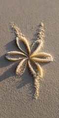 Fototapeta premium Star shaped sand flower pattern with petal grooves and textured trails sunlit beach abstract botanical design