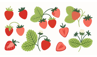 Hand Drawn Strawberry Vector Illustration Collection with Whole and Sliced Berries © Babul