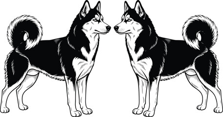 Symmetrical black white Siberian husky dogs mirrored facing each other detailed vector line art illustration isolated canine design animal graphic © Sarjina's World