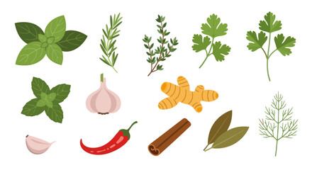 Fresh herbs and spices collection