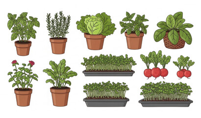 Fototapeta premium Urban Home Gardening Vector Illustration with Potted Herbs and Microgreens