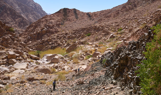 Dramatic landscape of Wadi Muajed or Majid in Saint Katherine Protectorate Sinai. High cliffs and granite walls. Red, green, black colors of magmatic rock. Dikes. Tourists in a trail. Active lifestyle