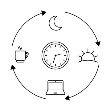 Circadian rhythm Daily routine cycle illustration with clock sun moon coffee cup laptop icons connected by arrows time management concept showing morning work break and night schedule workflow diagram