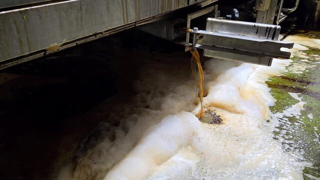 Liquid waste drainage of dissolved beechwood tar and foam during factory cleaning