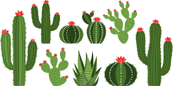 Set of 9 Flat Design Cactus and Succulent Vector Illustrations with Red Flowers, Perfect for Desert, Western, or Botanical Themed Projects