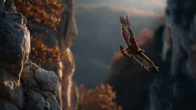Eagle Launching into Flight from a Cliff with Dramatic Background