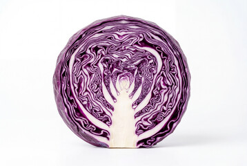 Fototapeta premium Purple cabbage cut in half revealing white inner layers