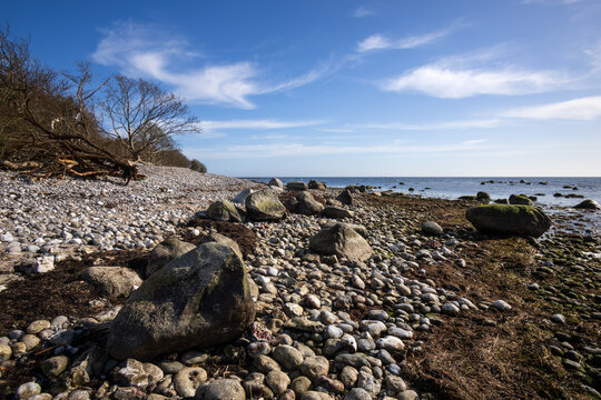 Gjorslev B&oslash;gesko Stranden, Faxe Bugt