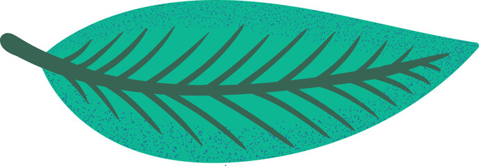 Fototapeta premium Leaf With Vein Texture