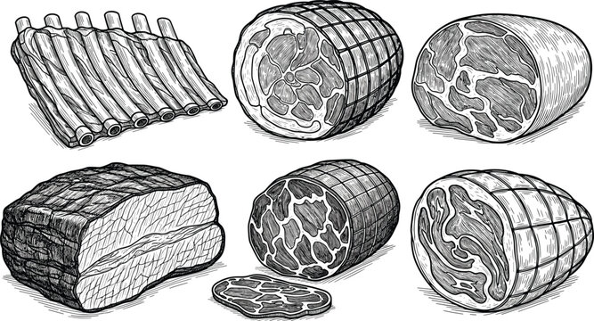 Butcher meat cuts engraving set. Rack ribs, rolled roast and deli meat pieces. Vintage hand drawn butcher shop food illustration.