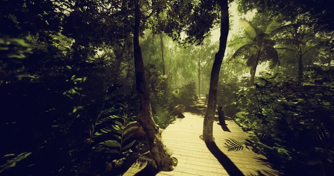Sunlit hiking route through dense jungle undergrowth, rugged terrain and winding wooden planks leading into shaded canopy dynamic outdoor scene tailored