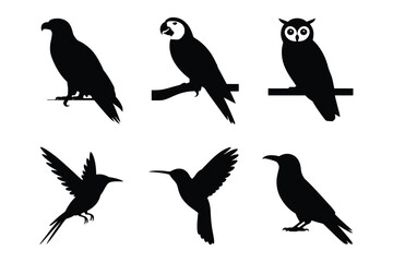 Birds silhouettes: eagle, parrot, owl, hummingbird
