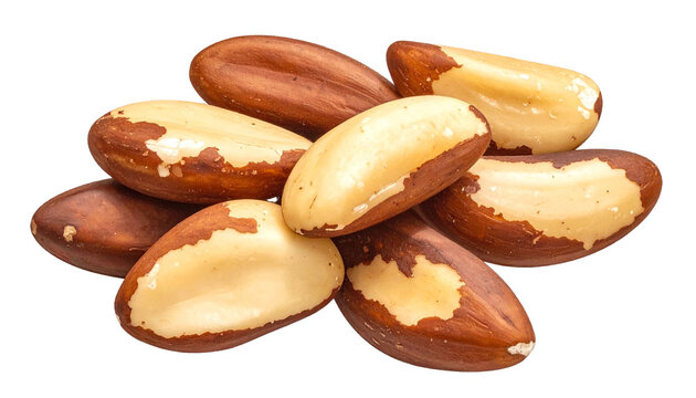 Haufen von Paran&uuml;ssen (Brazil Nuts), isoliert auf transparentem Hintergrund im PNG-Format.