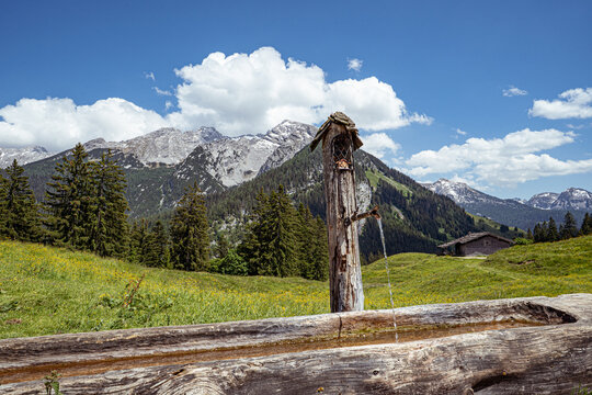 Weidetr&auml;nke - typische Rindertr&auml;nke auf einer Alm mit Quellwasser, das in einen Steintrog l&auml;uft..