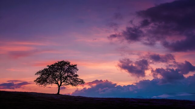 Tree stands solitary against a dramatic purple sunset in the open field.