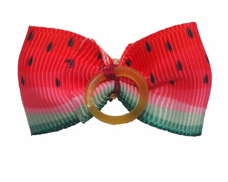 A latex elastic band is attached to a red and green rapeseed ribbon bow for dogs on a white background. Dog accessories. Back view.