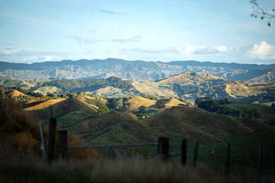 Sunset views of the rolling hills near Waitomo in New Zealand