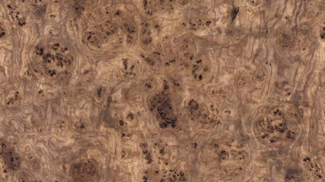 Seamless Intricate Walnut Burl Wood Texture with Organic Grain Patterns
