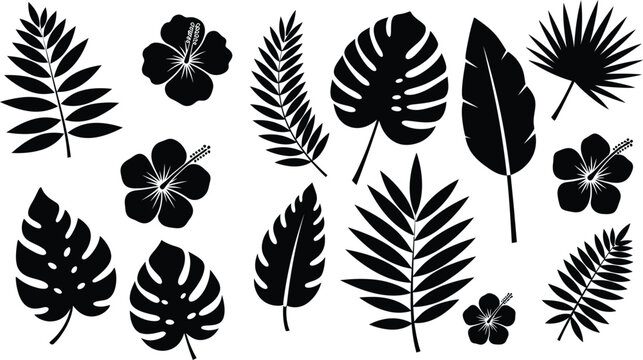 Collection of tropical leaves and flowers in black silhouette