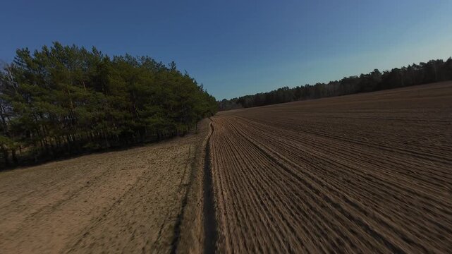Aerial view of plowed agricultural field with pine forest boundary