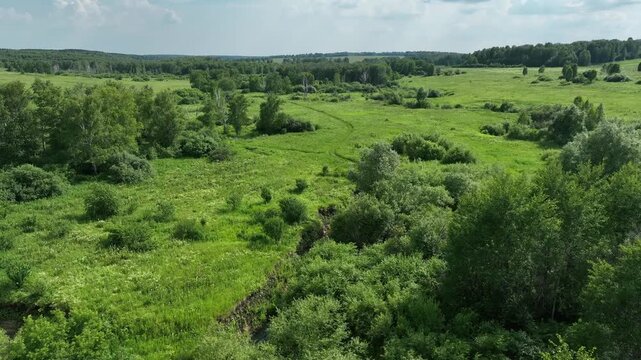 Drone view of countryside. Fields and forests in summer. 