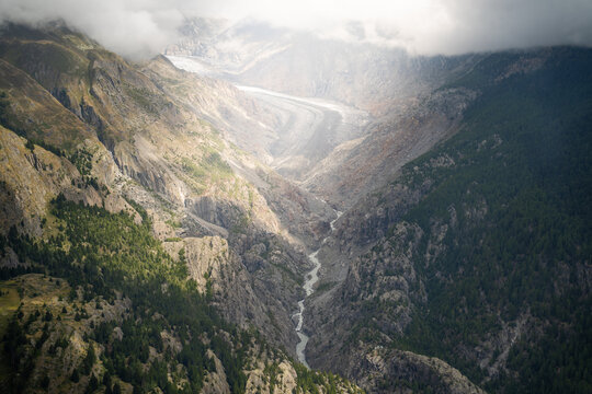 goat, mountain goat, alpine, switzerland, fog, mist,
misty, horns, wildlife, animal, nature, two tone,
bicolor, brown, white, unique, rocky, cliff, swiss alps,
valais, outdoor, livestock, foggy, wet, 