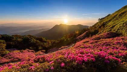 Fototapeta premium Sun Kissed Blossoms Cascade Down Mountain Slopes Outdoor Doi Inthanon Sunlight