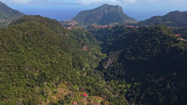 Epic aerial view of Vereda do Larano coastal cliffs, drone flying along steep mountain edge and Atlantic ocean coastline, Madeira, 4K.