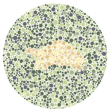 Interactive vision test plate, spot the hidden turtle in a field of polychromatic dots, global standard for eye examinations